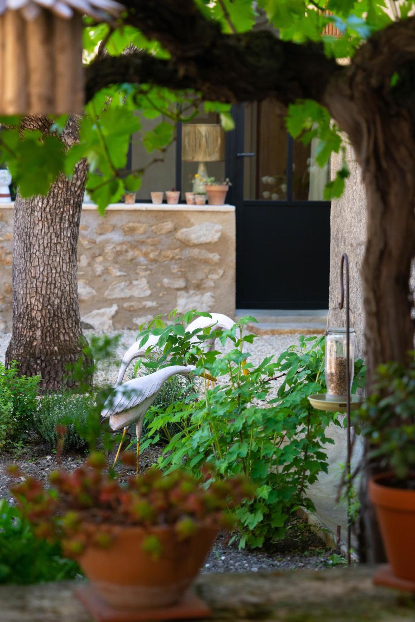 La Suite - Maison M Fabre Saint-Rémy-de-Provence Kültér fotó